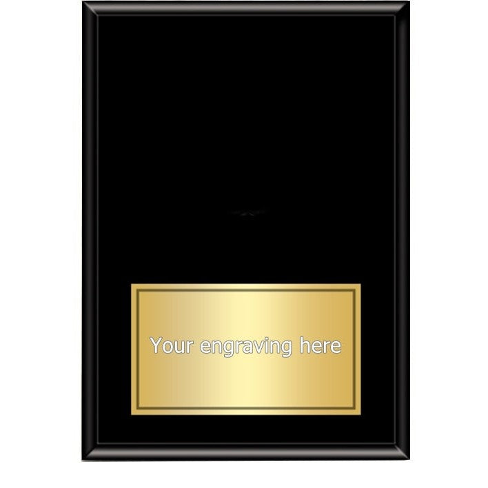 Three Dimensional Medallion Plaques - Various Sizes