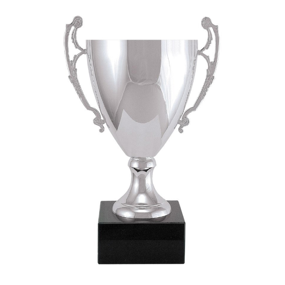 Silver Metal Trophy Cup