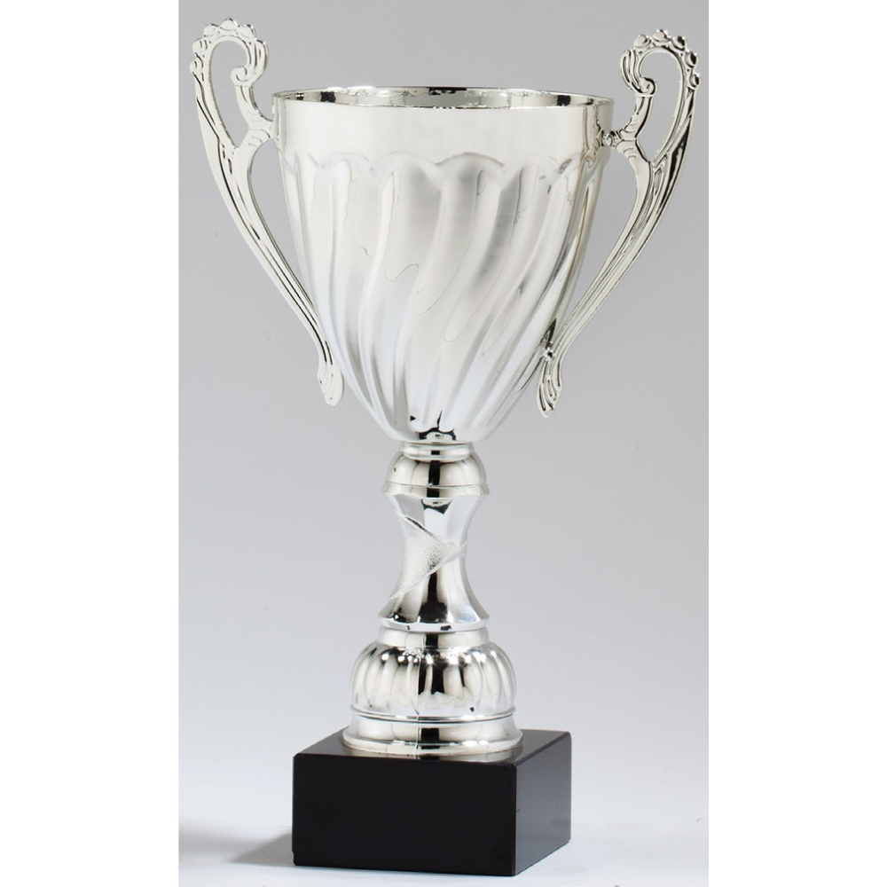 Silver Trophy Cup Award