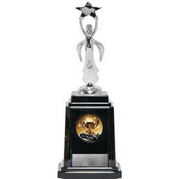 Silver Star Trophy with Black Base